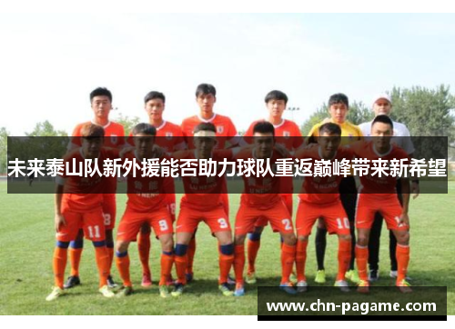 未来泰山队新外援能否助力球队重返巅峰带来新希望