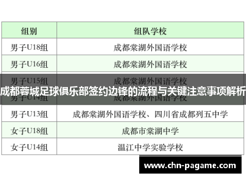 成都蓉城足球俱乐部签约边锋的流程与关键注意事项解析