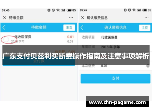 广东支付贝兹利买断费操作指南及注意事项解析
