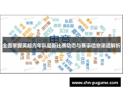 全面掌握英超青年队最新比赛动态与赛事信息渠道解析