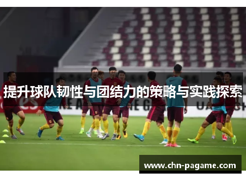 提升球队韧性与团结力的策略与实践探索
