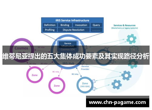 维蒂尼亚提出的五大集体成功要素及其实现路径分析