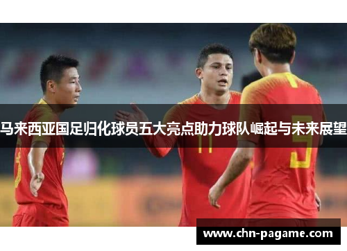 马来西亚国足归化球员五大亮点助力球队崛起与未来展望