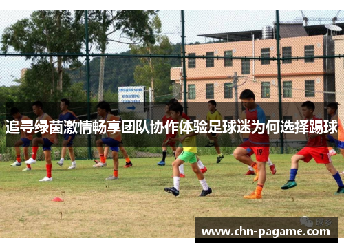 追寻绿茵激情畅享团队协作体验足球迷为何选择踢球