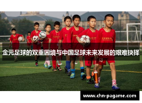 金元足球的双重困境与中国足球未来发展的艰难抉择