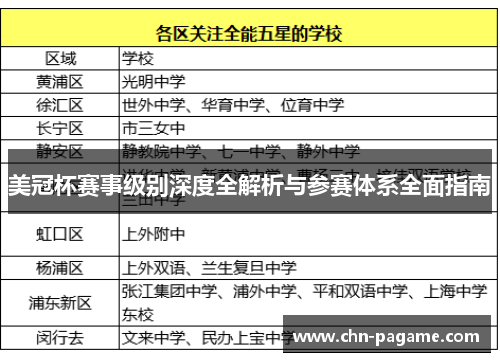 美冠杯赛事级别深度全解析与参赛体系全面指南