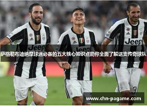 萨格勒布迪纳摩球迷必备的五大核心知识点助你全面了解这支传奇球队