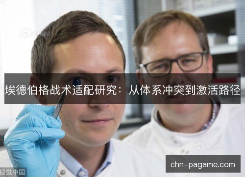 埃德伯格战术适配研究：从体系冲突到激活路径